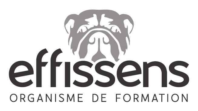 logo effissens formation